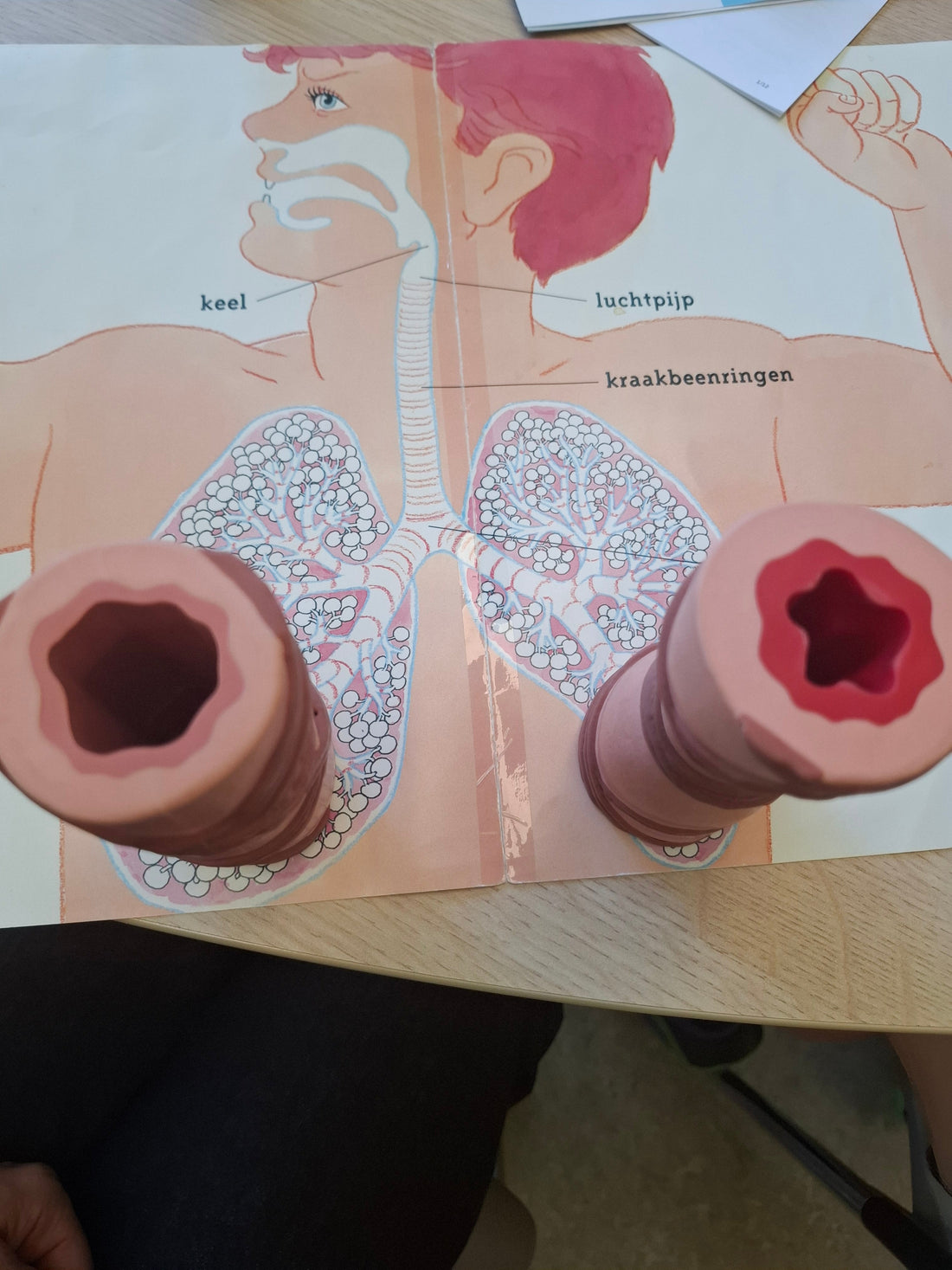 Mogelijke oorzaken klachten aan je luchtwegen