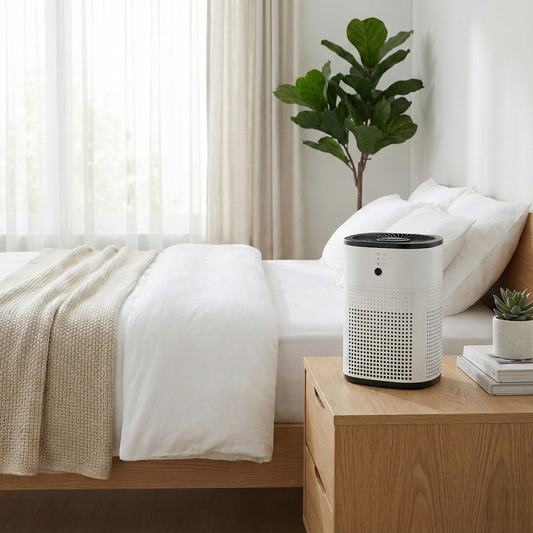 Luchtzuiveraar type S met Hepa filter