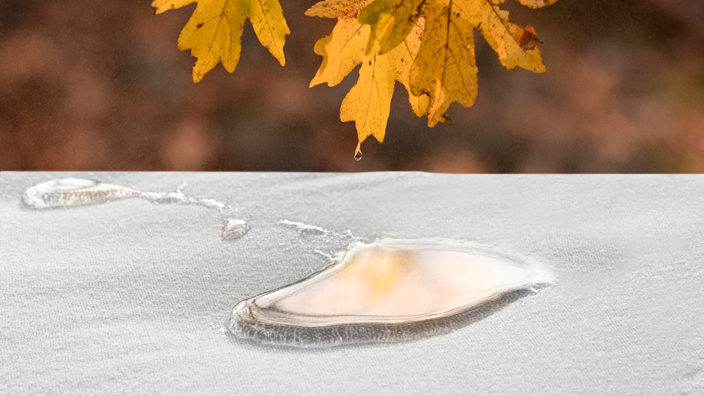 Allergievrij waterdicht en ademend