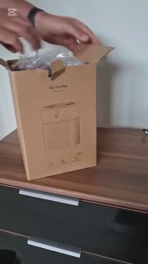 Luchtzuiveraar film